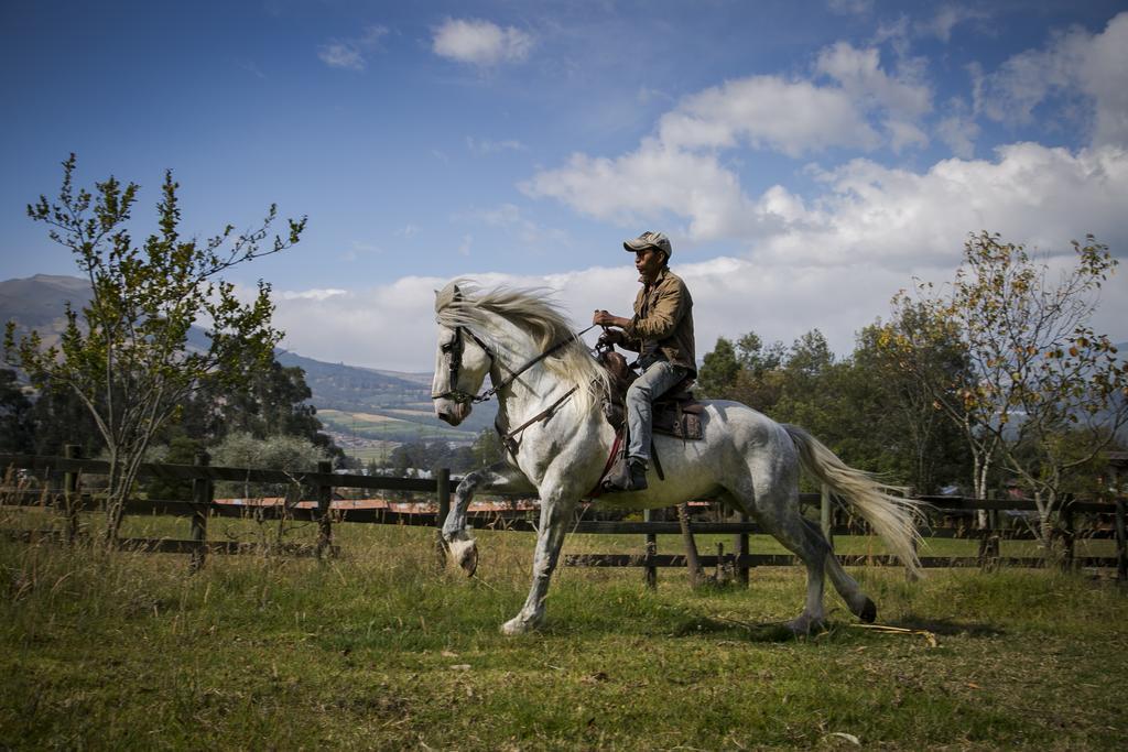 Hacienda Hosteria San Luis Cayambe Zewnętrze zdjęcie