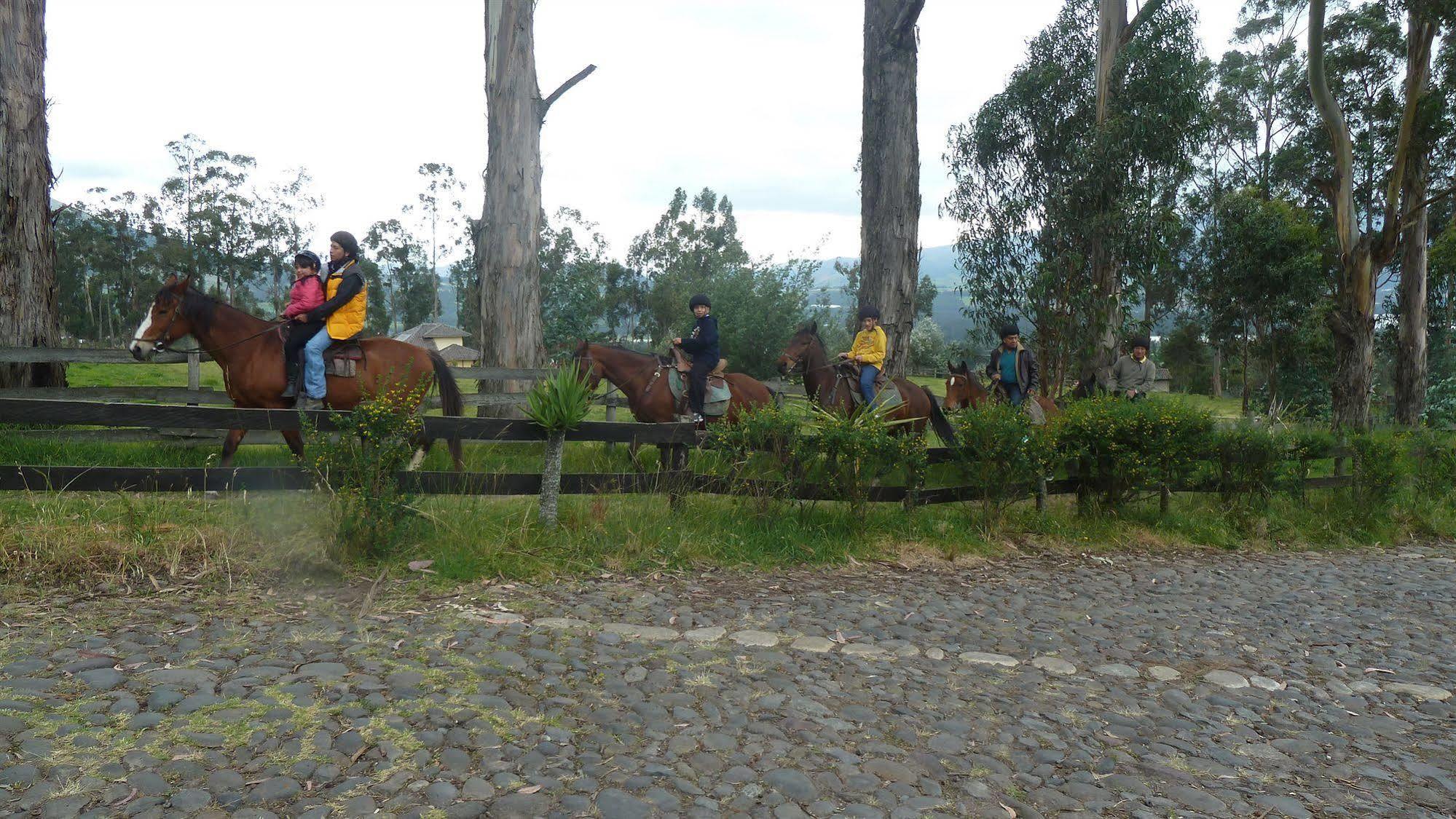 Hacienda Hosteria San Luis Cayambe Zewnętrze zdjęcie